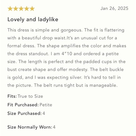 NWT Size 8 - Hutch Red Strapless Drop-Waist Maxi Dress (NWT US$ 238) - Picture 14 of 16